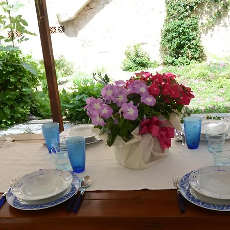 Old Town Secret Garden * אלגהרו
