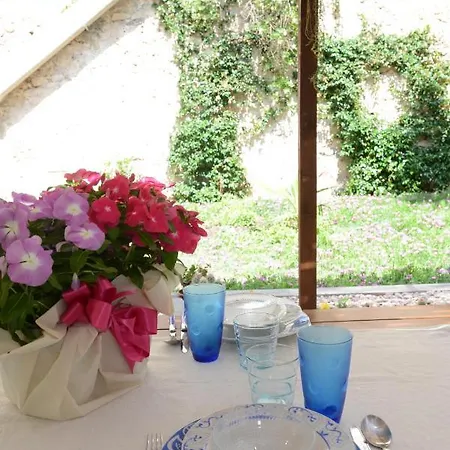 Old Town Secret Garden